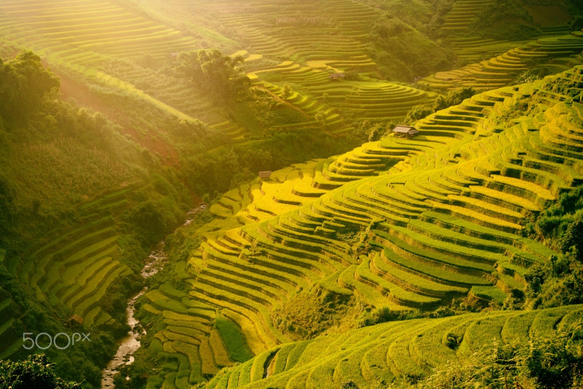 Mu Cang Chai appears picturesque through lens of foreign photographers